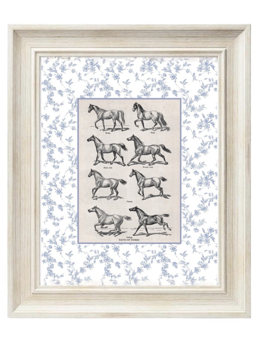 Framed Classic Horse Gaits Wall Art